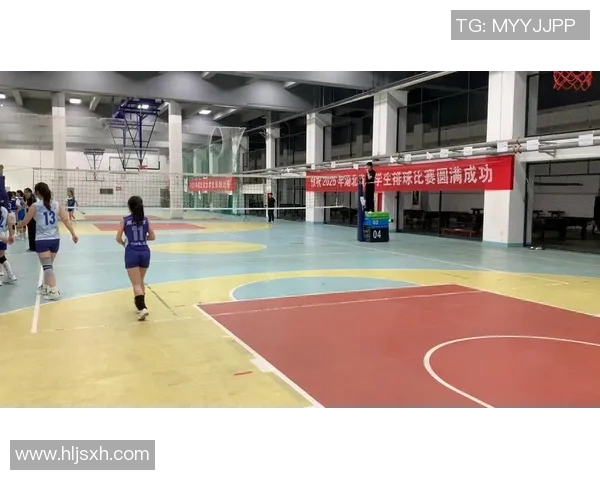 武汉排球队近期状态引发热议球迷对表现和战术产生分歧